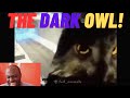 Tony Baker - Animal Voiceover 3 (Reaction) #recklessfoundation #tonybaker #animalvoiceover