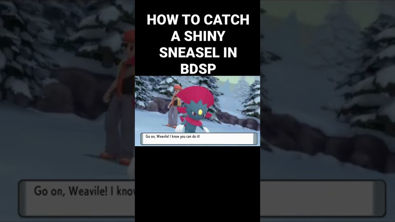 HOW TO CATCH SHINY SNEASEL IN BDSP