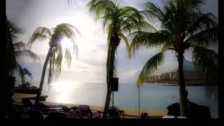 Umbrella -Rihanna ft. Shaggy- Strong Independent Caribean Queen Re-Remix by DeeJay Ralf