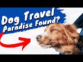 Dog Travel Hideaway - Goodbye Dog Kennel