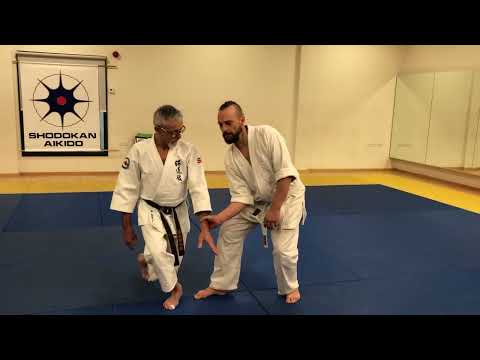 Shodokan aikido. Atemi