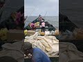 Boda Boda Boat Taxi Lake Victoria Adventures Boda Boda Boat Taxi Lake Victoria Adventures