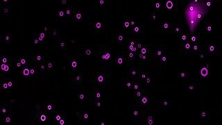 Purple colored floating bubbles background | 4k Abstract loop