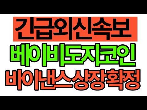 베이비도지코인 속보 베이비도지 바이낸스 상장 일정 드디어 공개되었습니다 베이비도지코인 베이비도지 바이낸스 도지코인 일론머스크 일론머스크트위터 