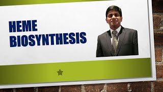 Heme Biosynthese Traject