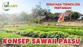 Cuma Butuh 40 Hari !! Sulap Lahan Tandus Menjadi Sawah Palsu‼️Rekayasa Pertanian | UPLAND Project