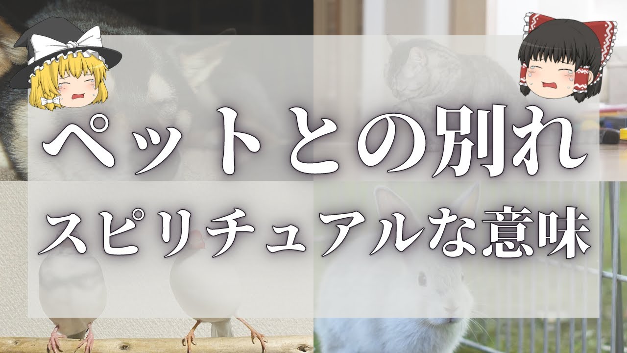 【スピリチュアル】ペットとの別れとスピリチュアルな意味【ゆっくり解説】