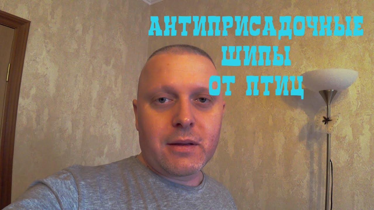 🦅 Стальные антиприсадочные шипы от птиц - YouTube