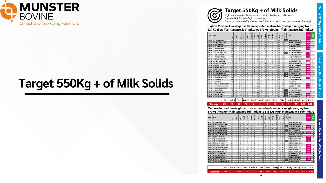 Target 550Kg + of Milk Solids - High To Medium Liveweight - Spring Dairy Catalogue 2026
