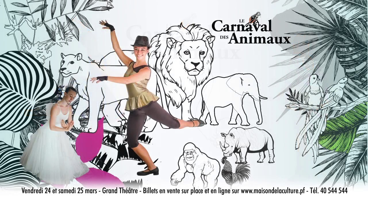 Spectacle de danse  Carnaval des animaux  YouTube