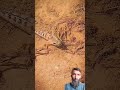 Quran Tilawat: Beautiful & Serene
