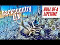 ELK HUNTING GIANT BULLS | ARIZONA | Deep in the Backcountry for Charlene’s BULL of a LIFETIME