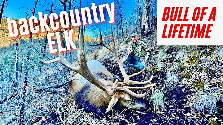 ELK HUNTING GIANT BULLS | ARIZONA | Deep in the Ba...