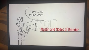 Myelin and Nodes of Ranvier