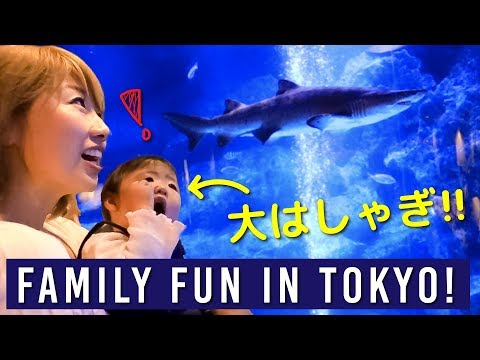 たまには東京観光!家族で大興奮☆ おしゃれで楽しい「すみだ水族館」!〔#839〕