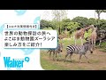 よこはま動物園ズーラシア_紹介動画