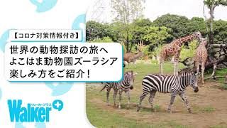 よこはま動物園ズーラシア_紹介動画