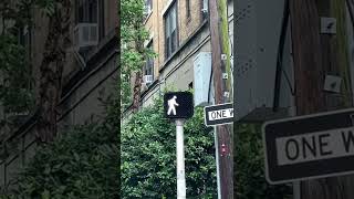 Malfunctioning crosswalk signal