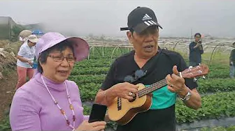 LERON LERON SINTA MEDLEY - LIVE COVER BY JOHNNY AND LIWAY ; BAGUIO CITY STRAWBERRY FARM