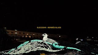 THRE36OYZ - Berbés Blues (Visualizer) Elecesar x Brabuss Beats