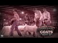 GOATS - 2026 Gillespie County Youth Livestock Show