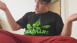 Freestyle Mr.budtree Meet the blade