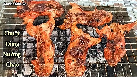 Cách làm Chuột Đồng Nướng Chao giòn thơm ngon món ăn dân dã miền quê - Combo Món Ăn