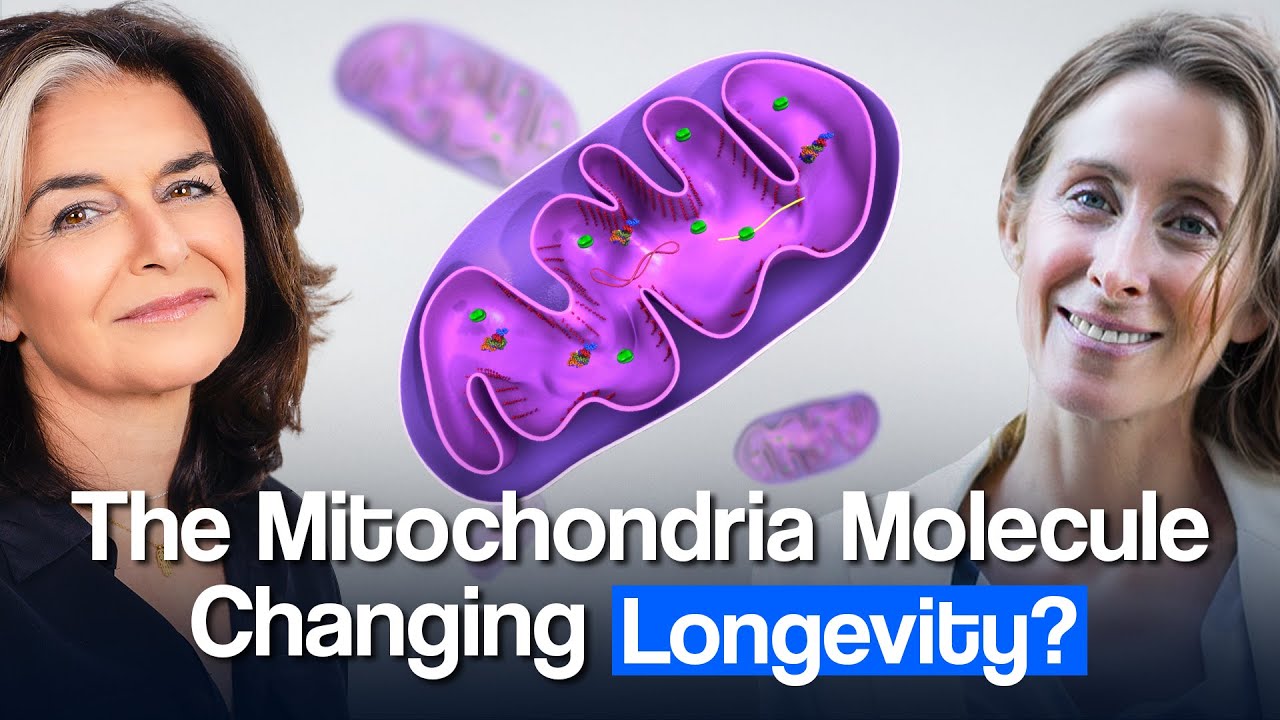 Aging Starts In Your Mitochondria. Slow it Down With This: l Dr. Siobhan Mitchell l Ep #361