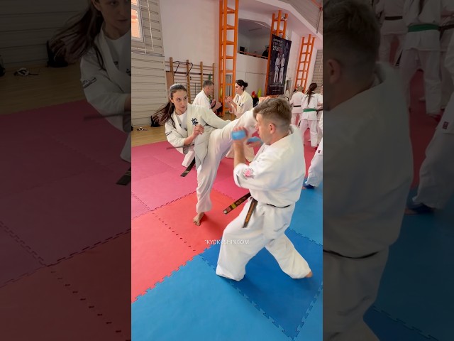 Cristian Boldut Fight Camp 2026 #kyokushin #shinkyokushin #karate #1kyokushin #一極真 #極真会館