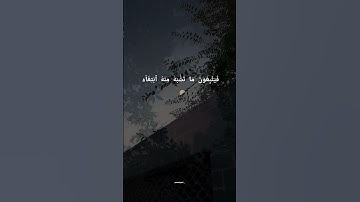 تلاوة جميلة للقرآن | سورة آل عمران آية ٧ | فأما الذين في قلوبهم