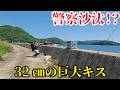 大会中あの生物が釣れて警察沙汰!?大騒動の末に奇跡の巨大尺キスが!