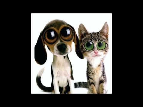 stopthis - juice ft. twentythree