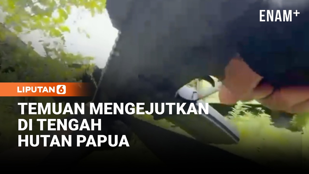 Mengejutkan! Aparat Gabungan Bongkar Kamp KKB di Tengah Hutan | Liputan6