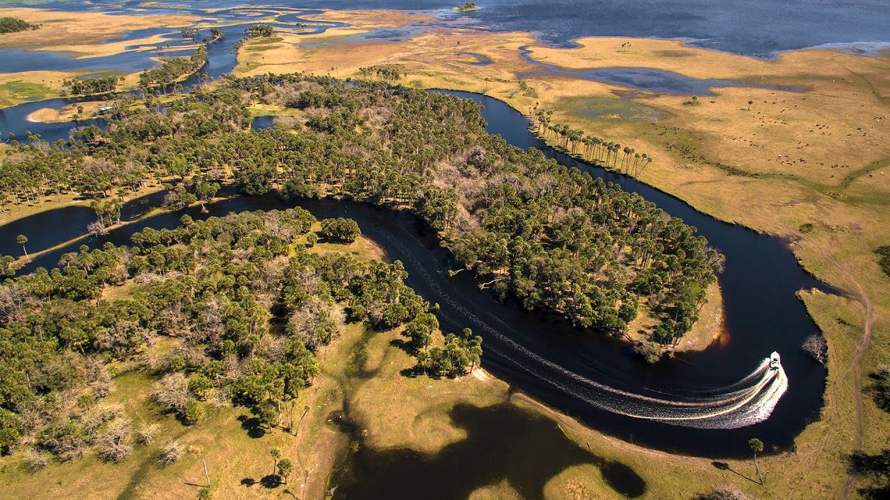 Reel Time Florida Sportsman - St. Johns Shad and Striper - Season 4, Episode 11 - RTFS