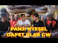 PANJI NYESEL BELI ULAR LELANG GW..!