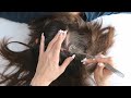 Asmr tingly scalp check with nails  nitpicking  sensory tests hair parting real person