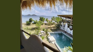 Processing the Emotions