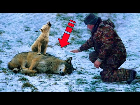 Video: 3 načini, kako osvojiti dekliško srce