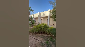 قرآن كريم الشيخ محمد اللحيدان الشيخ عبدالرحمن مسعد أيات الرزق الشيخ ماهر المعيقلي الشيخ ادريس أبكر