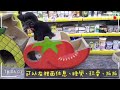 (YAHOO獨家)寵喵樂《可口番茄》SY-574X1入組 product youtube thumbnail