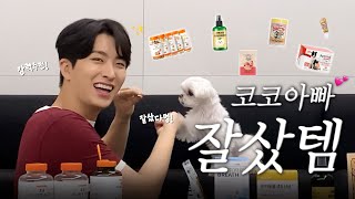 [CC] 🐶 : 뚁뚁떡 앙뇽핫헤요! 오뉴는 아빠가 욘얀뎨 추쳔해듄데여 댜듈 모여뱌 / 강아지 영양제 추천, 강아지 간식