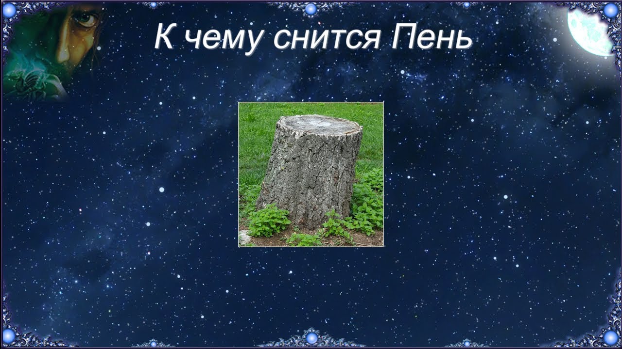 К чему снится Пень (Сонник)