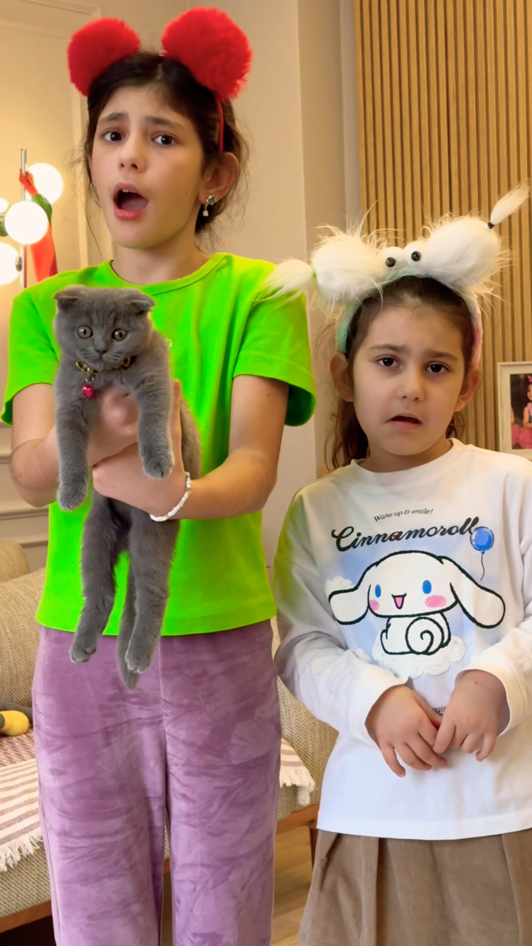 Süper family ❤️?‍⬛???? #cat #cats