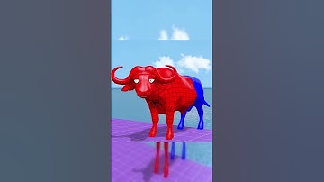 Long Slide Game With Cow Elephant Gorilla Hippopotamus Tiger - 3d Animal Game - Funny 3d Animals