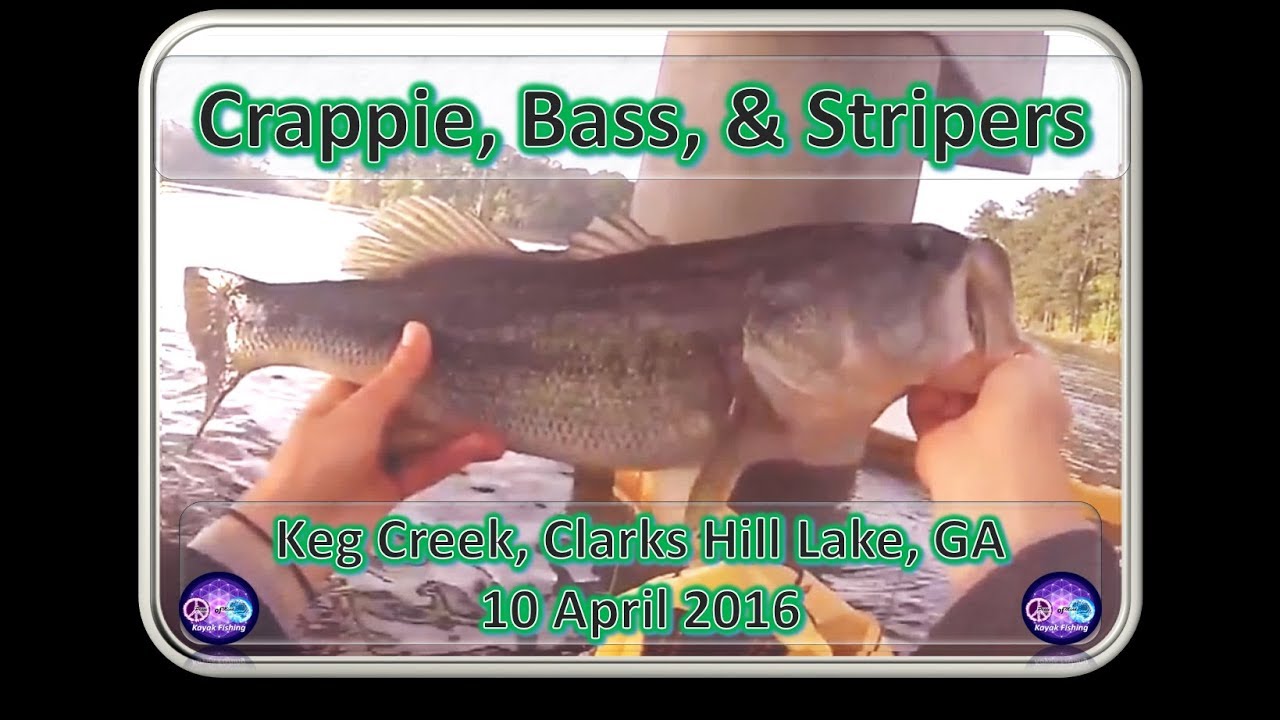 Clarks Hill Lake Kayak Fishing, Keg Creek, 10 April 2016 FINAL - YouTube