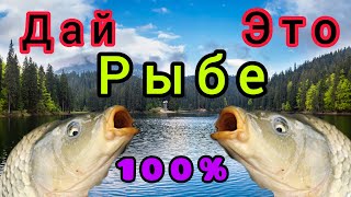 Это Спасет твою Рыбалку!!! НАСАДКА для КАРПА, КАРАСЯ и  САЗАНА!!!