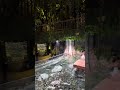 Menikmati Diorama Air Terjun &amp; Sungai di BXSea! 🌳🐦🐟