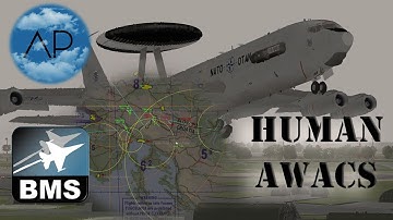 Falcon BMS - Intro to GCI (Human AWACS)