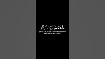 قال سآوي إلى جبل يعصمني من الماء .. وحال بينهما الموج | تلاوة خاشعة للشيخ ناصر القطامي من سورة هود