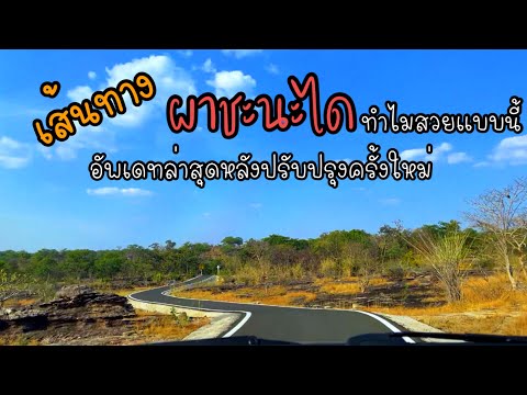 พาชมเส้นทาง ผาชะนะได อุบลราชธานี อัพเดทล่าสุดกับการเริ่มปรับปรุงเส้นทางครั้งใหญ่ สวยงามตลอดเส้นทาง